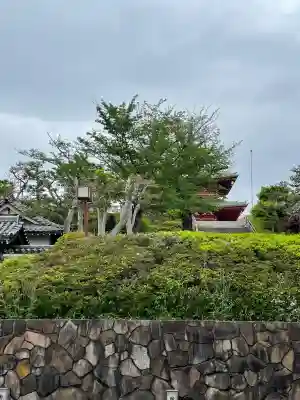 孝道山の{uncategorized: "未分類", other: "その他", undefined: "問題あり", building: "その他建物", grave: "お墓", sacred_gate: "鳥居", guardian: "狛犬", statue: "像", buddha: "仏像", history: "歴史", nature: "自然", garden: "庭園", animal: "動物", pagoda: "塔", temizu: "手水舎", mountain_gate: "山門・神門", sanctuary: "本殿・本堂", subordinate: "末社・摂社", art: "芸術", scenery: "景色", jizo: "地蔵", ema: "絵馬", goshuin: "御朱印", omikuji: "おみくじ", items: "授与品その他", amulet: "お守り", goshuincho: "御朱印帳", eats: "食事", festival: "お祭り", votive_dance: "神楽", shichigosan: "七五三参", wedding: "結婚式", experience: "体験その他", initially: "初詣", around: "周辺", anti_infection: "感染症対策"}