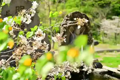妙龍神社(新潟県)