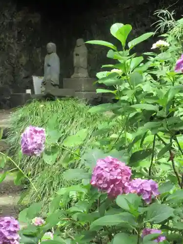 妙本寺の像