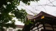 三輪神社の本殿