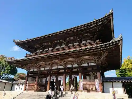 仁和寺の山門