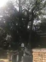 八幡朝見神社の自然