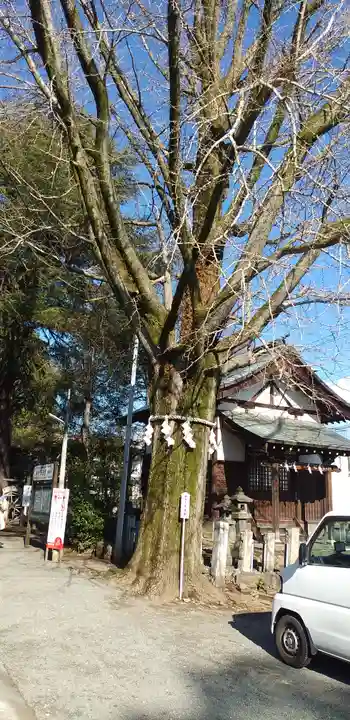 桐生天満宮の自然