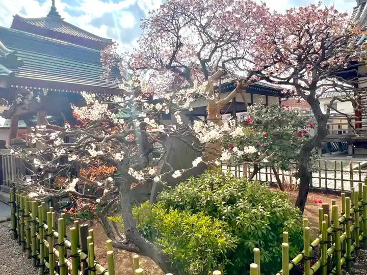 西新井大師総持寺(東京都)
