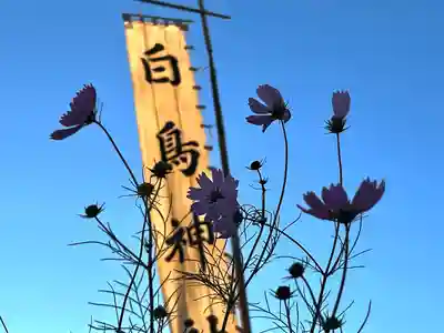 白鳥神社(長野県)
