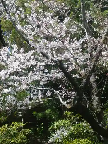 浄光明寺の自然