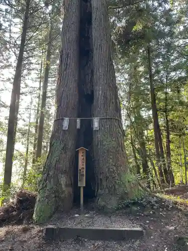 温泉神社の{uncategorized: "未分類", other: "その他", undefined: "問題あり", building: "その他建物", grave: "お墓", sacred_gate: "鳥居", guardian: "狛犬", statue: "像", buddha: "仏像", history: "歴史", nature: "自然", garden: "庭園", animal: "動物", pagoda: "塔", temizu: "手水舎", mountain_gate: "山門・神門", sanctuary: "本殿・本堂", subordinate: "末社・摂社", art: "芸術", scenery: "景色", jizo: "地蔵", ema: "絵馬", goshuin: "御朱印", omikuji: "おみくじ", items: "授与品その他", amulet: "お守り", goshuincho: "御朱印帳", eats: "食事", festival: "お祭り", votive_dance: "神楽", shichigosan: "七五三参", wedding: "結婚式", experience: "体験その他", initially: "初詣", around: "周辺", anti_infection: "感染症対策"}