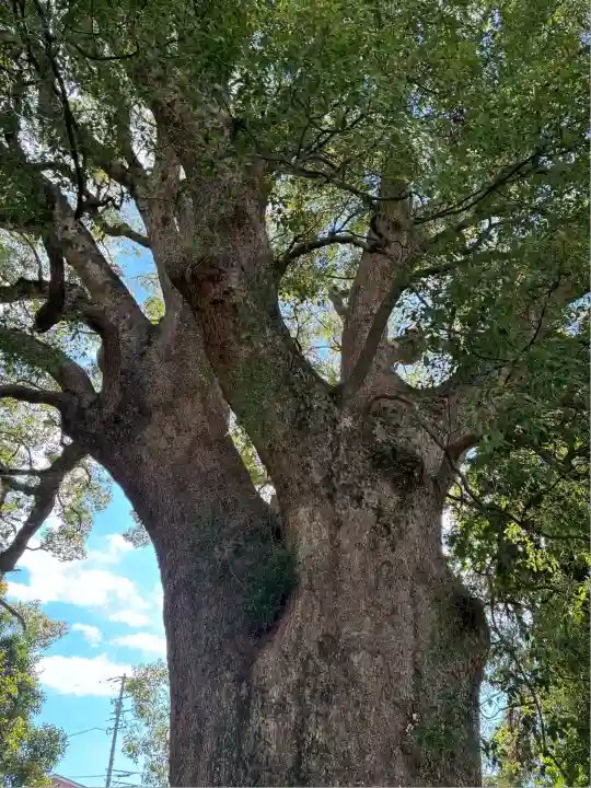 伊勢神明社(静岡県)