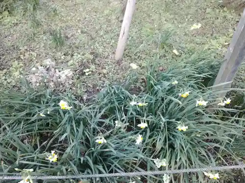 瑞泉寺(神奈川県)