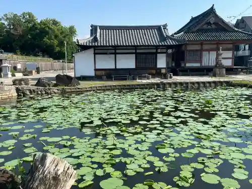 家原寺の{uncategorized: "未分類", other: "その他", undefined: "問題あり", building: "その他建物", grave: "お墓", sacred_gate: "鳥居", guardian: "狛犬", statue: "像", buddha: "仏像", history: "歴史", nature: "自然", garden: "庭園", animal: "動物", pagoda: "塔", temizu: "手水舎", mountain_gate: "山門・神門", sanctuary: "本殿・本堂", subordinate: "末社・摂社", art: "芸術", scenery: "景色", jizo: "地蔵", ema: "絵馬", goshuin: "御朱印", omikuji: "おみくじ", items: "授与品その他", amulet: "お守り", goshuincho: "御朱印帳", eats: "食事", festival: "お祭り", votive_dance: "神楽", shichigosan: "七五三参", wedding: "結婚式", experience: "体験その他", initially: "初詣", around: "周辺", anti_infection: "感染症対策"}