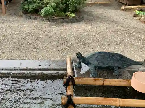 八坂神社の手水