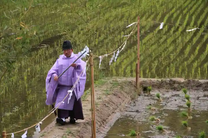 高屋敷稲荷神社のお祭り