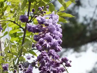 志那神社の自然