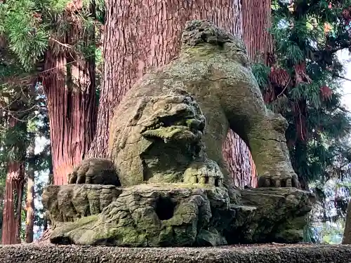 八乙女八幡神社の狛犬