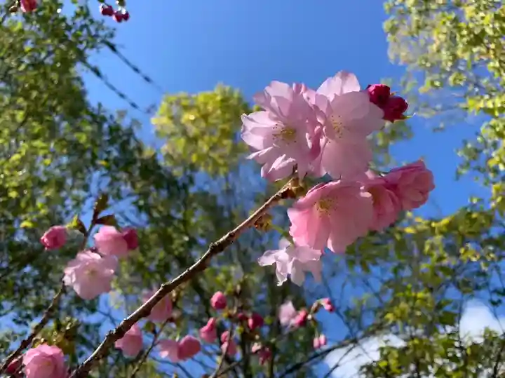 滑川神社 - 仕事と子どもの守り神の自然