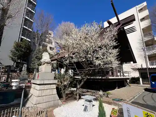 高円寺氷川神社(東京都)