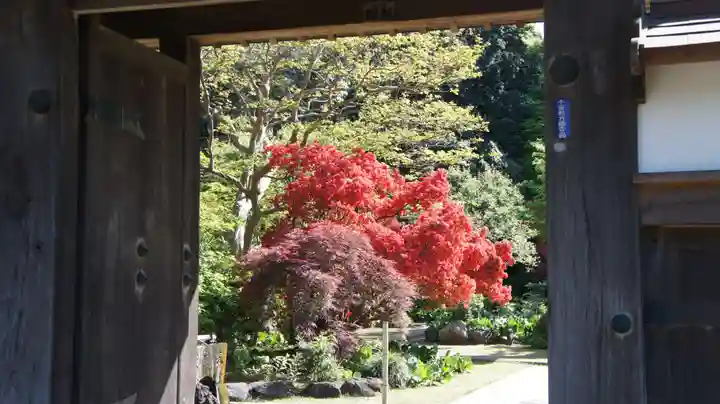 観音寺(千葉県)