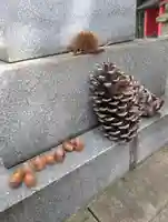 常盤稲荷大明神(神奈川県)