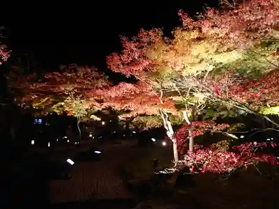 円通院(宮城県)