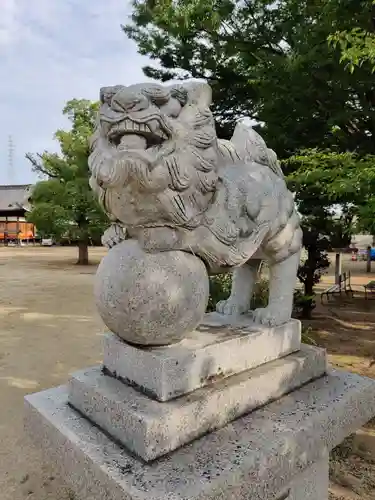 坂出八幡神社(八幡神社)の狛犬