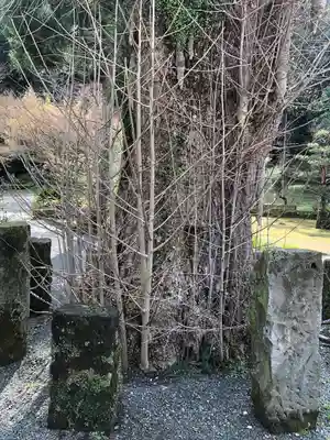 菅原神社(鹿児島県)