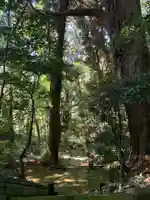 八幡神社(千葉県)