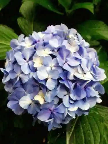 乃木神社(東京都)