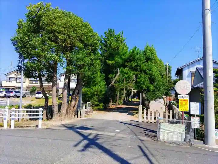 勝幡神社の自然
