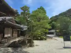 清荒神清澄寺(兵庫県)