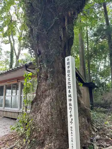 本城神社(宮崎県)