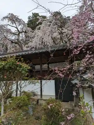 十輪寺(京都府)