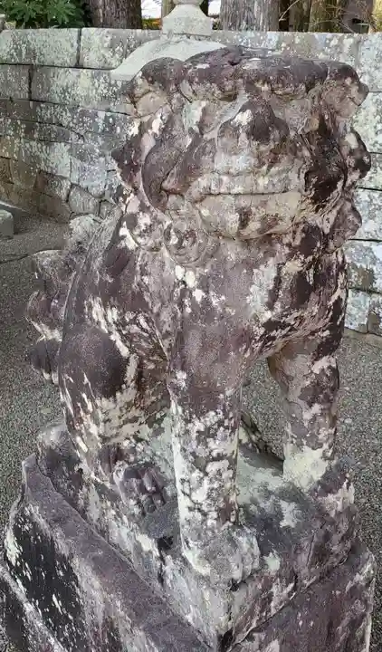 榎原神社の狛犬