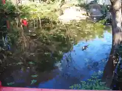 貫井神社(東京都)