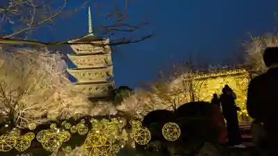 東寺（教王護国寺）(京都府)
