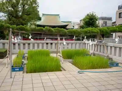 東京羽田 穴守稲荷神社(東京都)