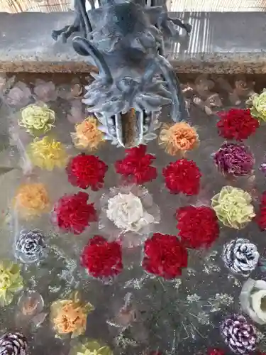 札幌諏訪神社の手水舎