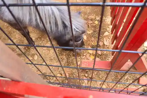 神田神社（神田明神）(東京都)