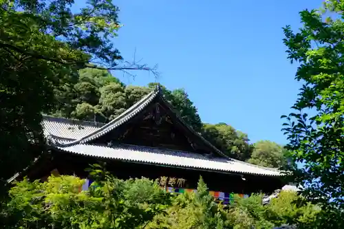 長谷寺の本殿・本堂