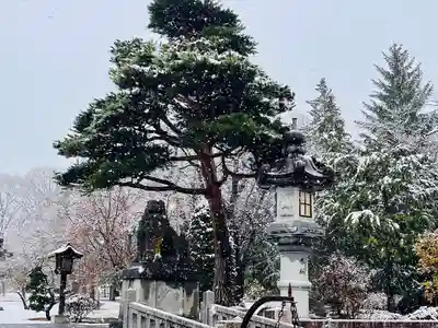 長野縣護國神社(長野県)