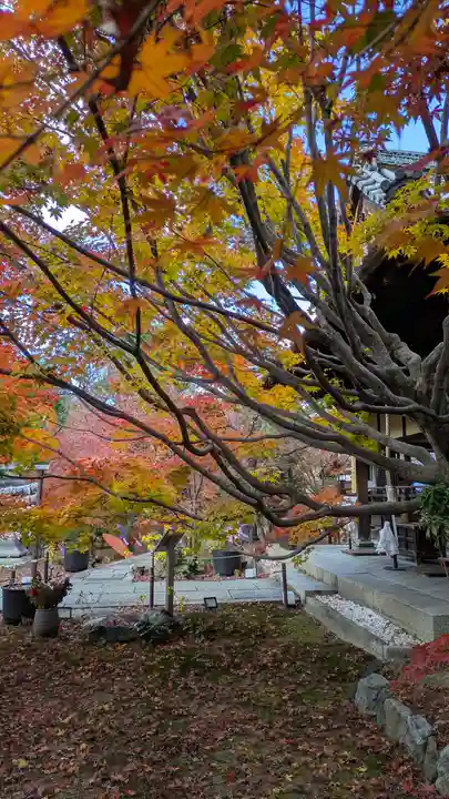 勝林寺(京都府)