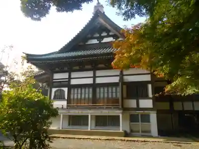 妙伝寺（妙傳寺）の本殿・本堂