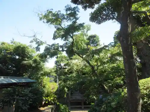 護国寺(東京都)