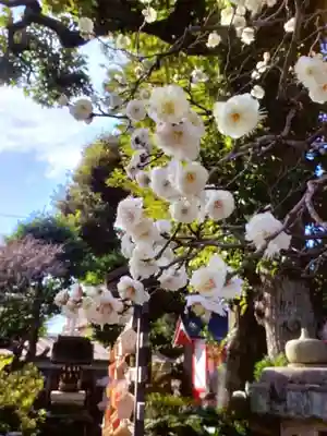 新井天神北野神社(東京都)
