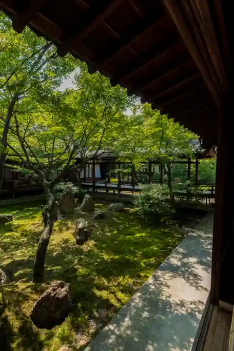 建仁寺(建仁禅寺)(京都府)