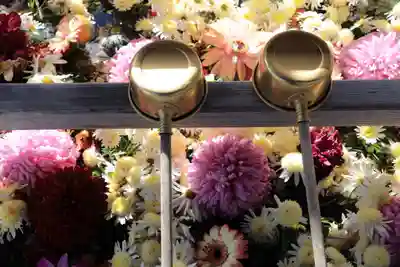 豊景神社の手水舎