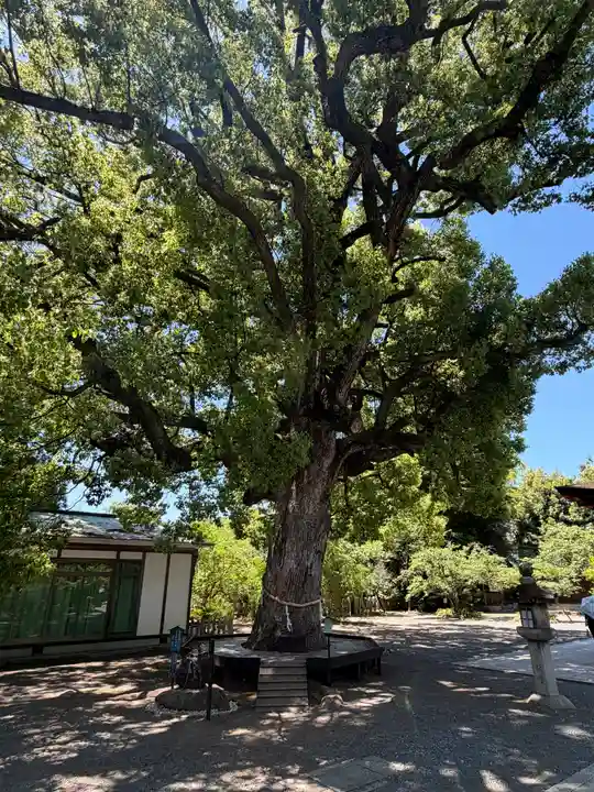 平野神社(京都府)