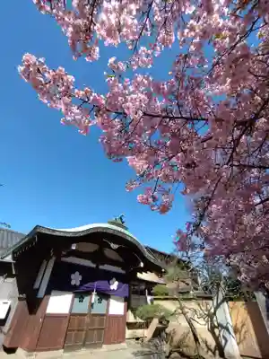 新井薬師（梅照院）(東京都)