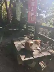 唐澤山神社の動物