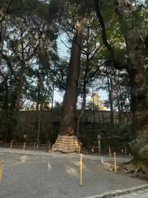 伊勢神宮内宮（皇大神宮）の{uncategorized: "未分類", other: "その他", undefined: "問題あり", building: "その他建物", grave: "お墓", sacred_gate: "鳥居", guardian: "狛犬", statue: "像", buddha: "仏像", history: "歴史", nature: "自然", garden: "庭園", animal: "動物", pagoda: "塔", temizu: "手水舎", mountain_gate: "山門・神門", sanctuary: "本殿・本堂", subordinate: "末社・摂社", art: "芸術", scenery: "景色", jizo: "地蔵", ema: "絵馬", goshuin: "御朱印", omikuji: "おみくじ", items: "授与品その他", amulet: "お守り", goshuincho: "御朱印帳", eats: "食事", festival: "お祭り", votive_dance: "神楽", shichigosan: "七五三参", wedding: "結婚式", experience: "体験その他", initially: "初詣", around: "周辺", anti_infection: "感染症対策"}