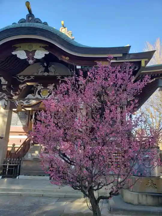 諏訪神社(東京都)